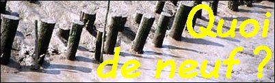 Quoi de neuf ?