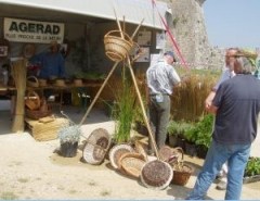 Fabrication de nasses en osier