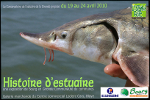 Histoire d’estuaire