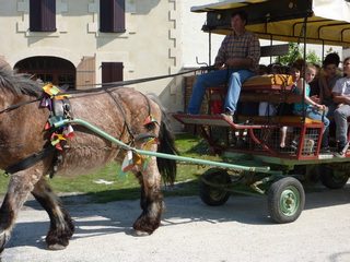 Le cheval fleuri