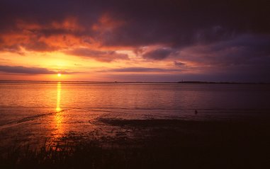 Soleil levant sur l'estuaire, depuis Pauillac