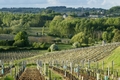 Bourg-sur-Gironde