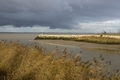 Terres d'oiseaux