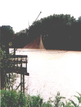 Carrelet sur rive de Garonne face à l'île d'Arcins (33)