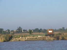 Une vue sur l'estuaire