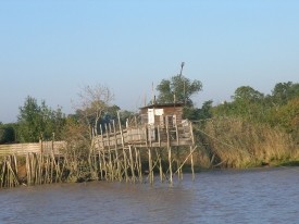 Une vue sur l'estuaire
