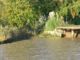 Une vue sur l'estuaire
