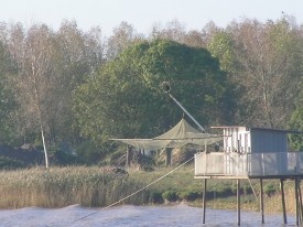 Une vue sur l'estuaire
