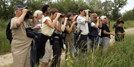 Observation de la faune des marais