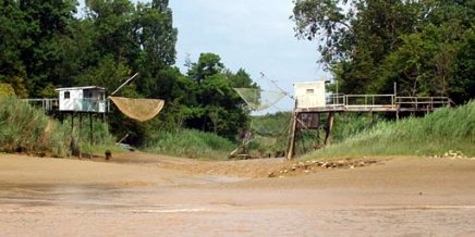 Pêches et poissons de la Gironde
