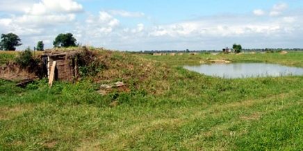 De l’usage des prairies humides