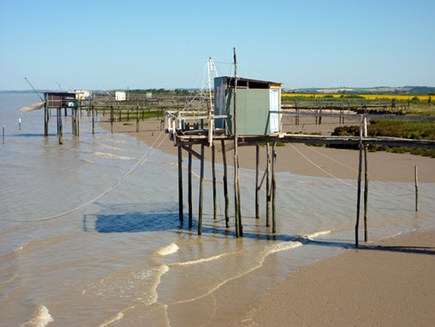 La pêche au carrelet
