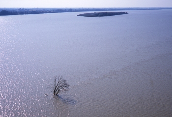 L'île en 2004