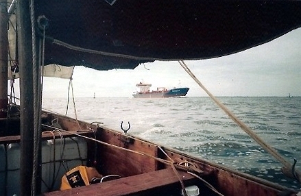 Rencontre en bordure du grand chenal