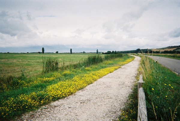 L’invitation à la marche