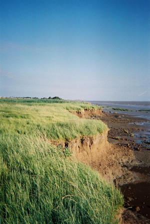 La micro falaise et la preuve de son érosion