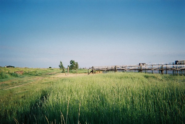 Des carrelets (trop ?) bien dégagés…