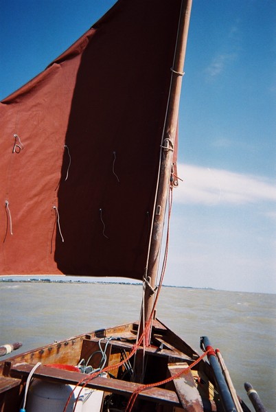 Il ne reste que 4 petits m²