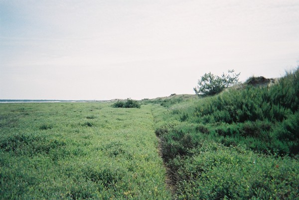 Au fond de Bonne Anse