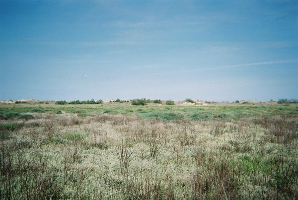 Au fond de Bonne Anse