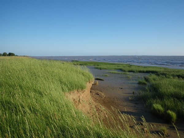 Naviguer, contempler aussi…